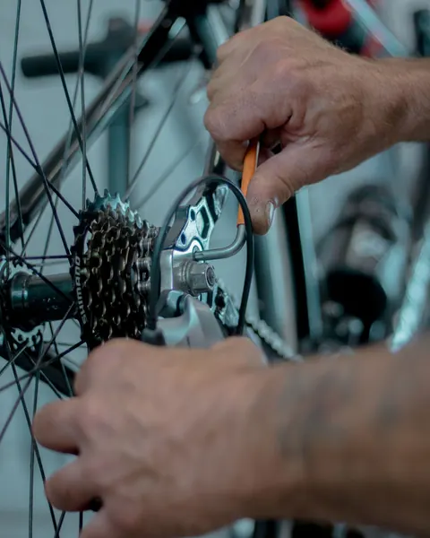 Mecánico ajustando el piñón trasero de una bicicleta