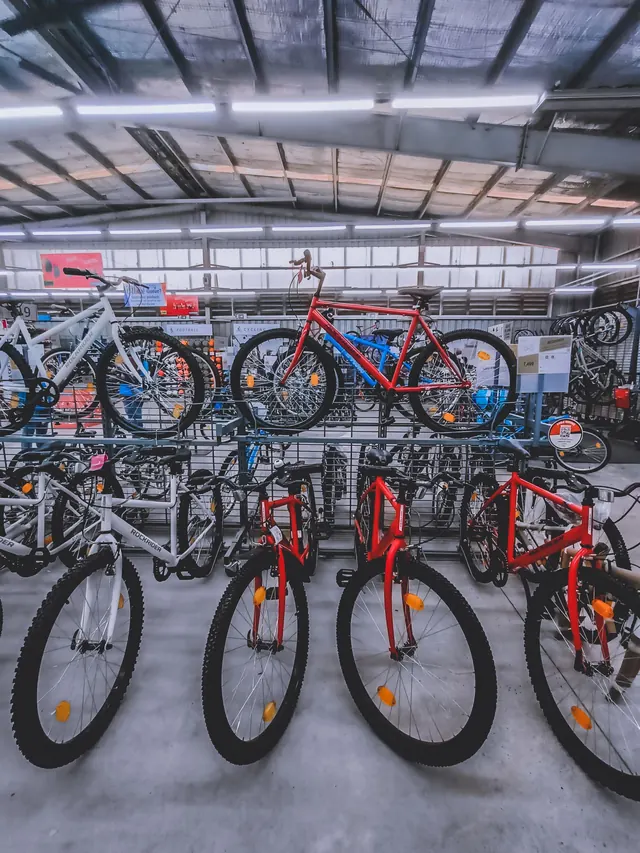 Bicicletas de varios colores exhibidas en una tienda